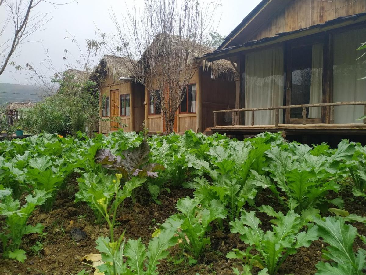 Anh Duc Homestay Sapa Eksteriør billede