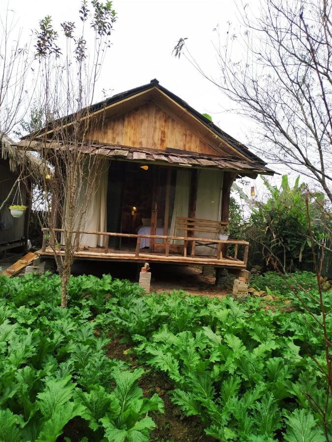 Anh Duc Homestay Sapa Eksteriør billede